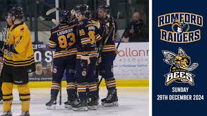 Image result for Romford Raiders