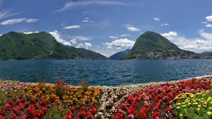 Image result for "Parco Ciani"