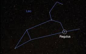 Attēlu rezultāti vaicājumam “Regulus regulus”