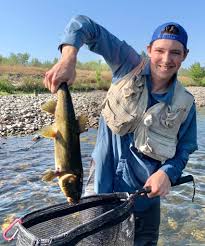 Image result for Mylopharodon conocephalus