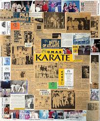 Image result for David Fuller Karate