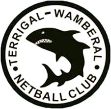 Image result for Wombles Netball Club