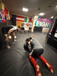 Image result for Martial Art Centre of Excellence