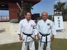 Image result for Zen Shin Seicho Do Adult Karate