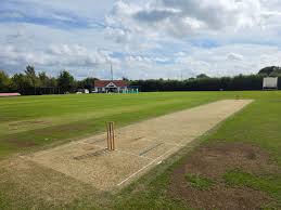 Image result for Braintree Cricket Club