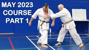 Image result for Dumfries Wado Ryu  Karate club