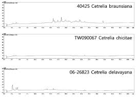 Attēlu rezultāti vaicājumam “Cetrelia sp.”