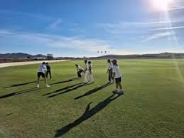 Image result for Walmley Cricket Club