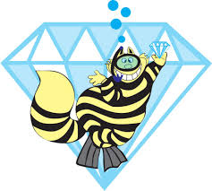 Image result for East Cheshire Sub-Aqua Club