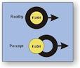Flash-Lag Effect - D. M. Eagleman