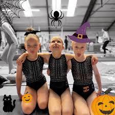 Image result for Amber Valley Gymnastics Club