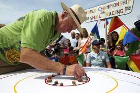 Image result for World Snail Racing Championships