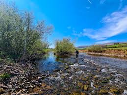 Image result for Becmain Angling Society