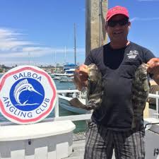 Image result for CALPAC Angling Club