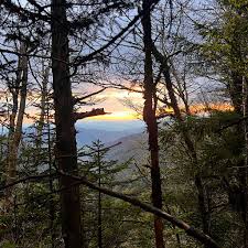 Image result for Marlborough and District Tri-Club