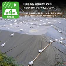 Image result for 4870315629土井