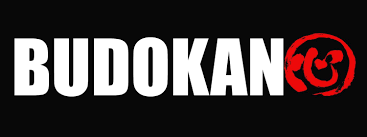 Image result for Blackpool Budokan Martial Arts