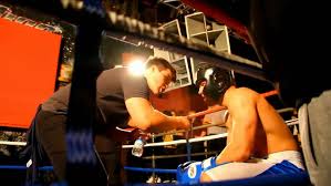 Image result for Uwe Boxing Club