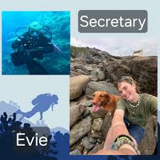 Image result for Plymouth Aquanauts