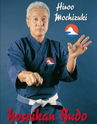 Image result for Yoseikan Budo England