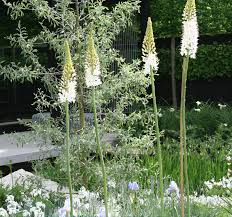 Image result for Ulf Nordfjell