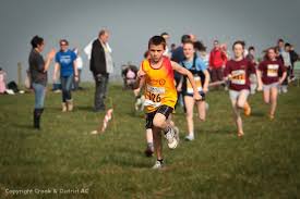 Image result for Crook and District Athletic Club