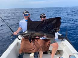 Image result for Istiophorus platypterus