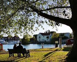 Image result for Beccles Town Sc