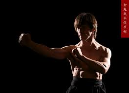 Image result for Dragon Wushu Club