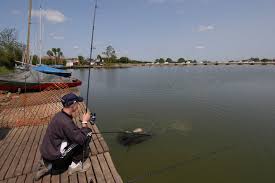 Image result for DRAYTON ANGLING CLUB