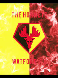 Image result for Cockfosters Football Club