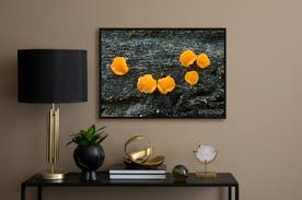 Attēlu rezultāti vaicājumam “Miladina lecithina”