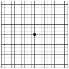 Image result for grid