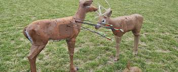 Image result for Stortford Archery Club