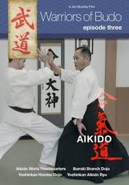 Image result for Budo Warrior Schools