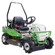 Image result for etesia tehron