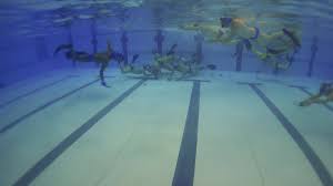 Image result for Croydon Wimbledon Octopush Club