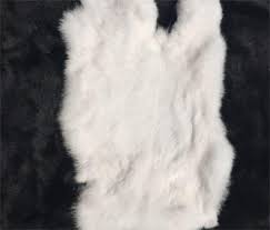 Image result for white rabbit skin texture