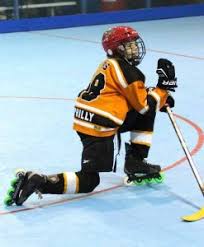 Image result for Cardiff Comets Ladies Ice Hockey