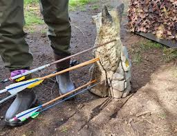 Image result for Whitby Company Of Archers