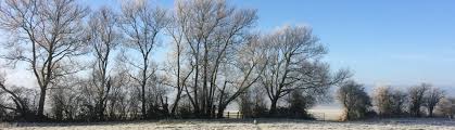 Image result for Cublington Cricket Club