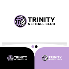 Image result for Camelot Netball Club