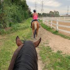 Image result for Kings Ranch Riding School/Club