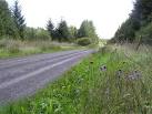 There are pretty wild flowers - via Daymix