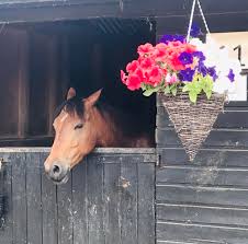 Image result for Cranleigh School Stables