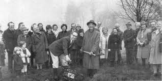 Image result for Compton and Shawford Sports Club