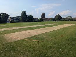 Image result for Ingatestone & Fryerning Cricket Club