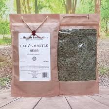 Attēlu rezultāti vaicājumam “Alchemilla vulgaris aggr. bud”