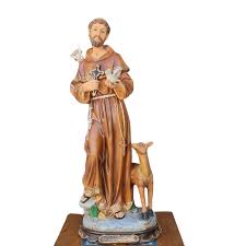 Image result for foto são francisco