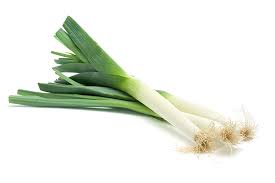 Image result for Porree